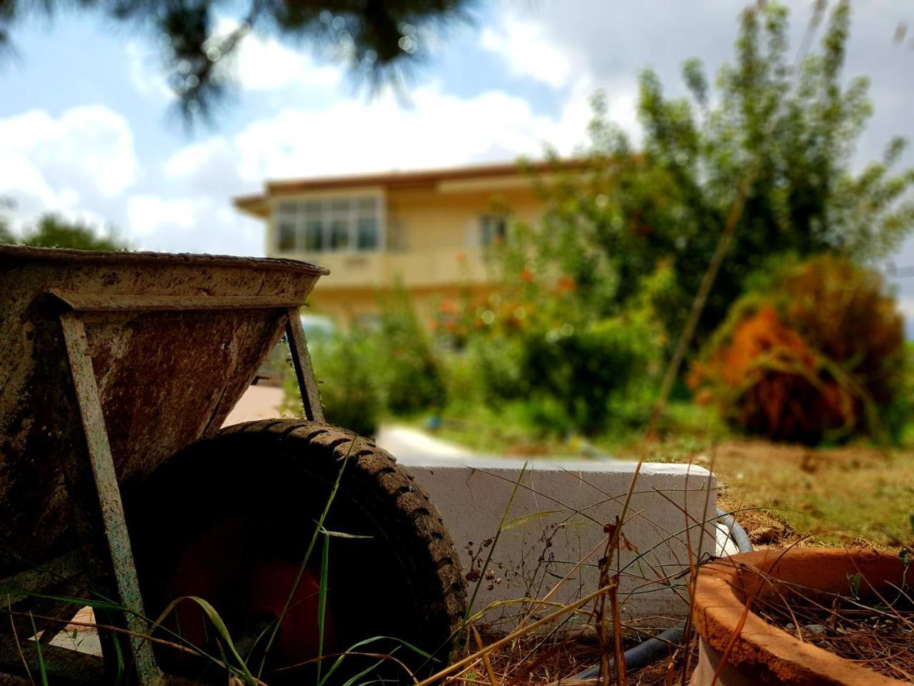 Maison Kronio Lassithi Plateau Marmaketon Buitenkant foto